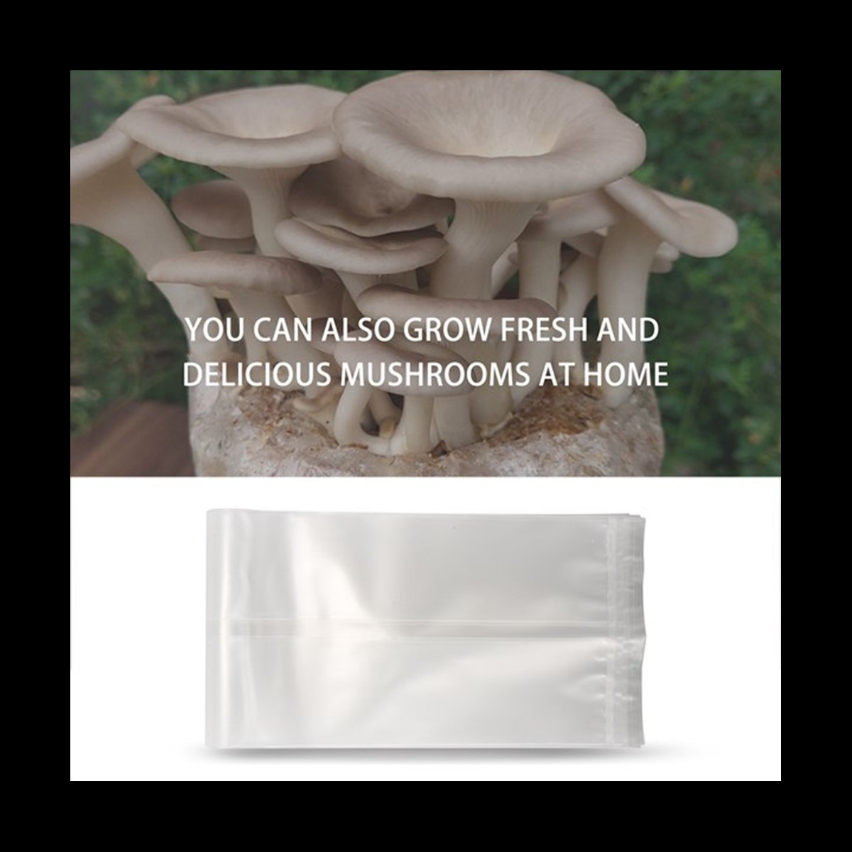 Mushroom Spawn Bag - A78I 50 мешков для грибов/мешки для
