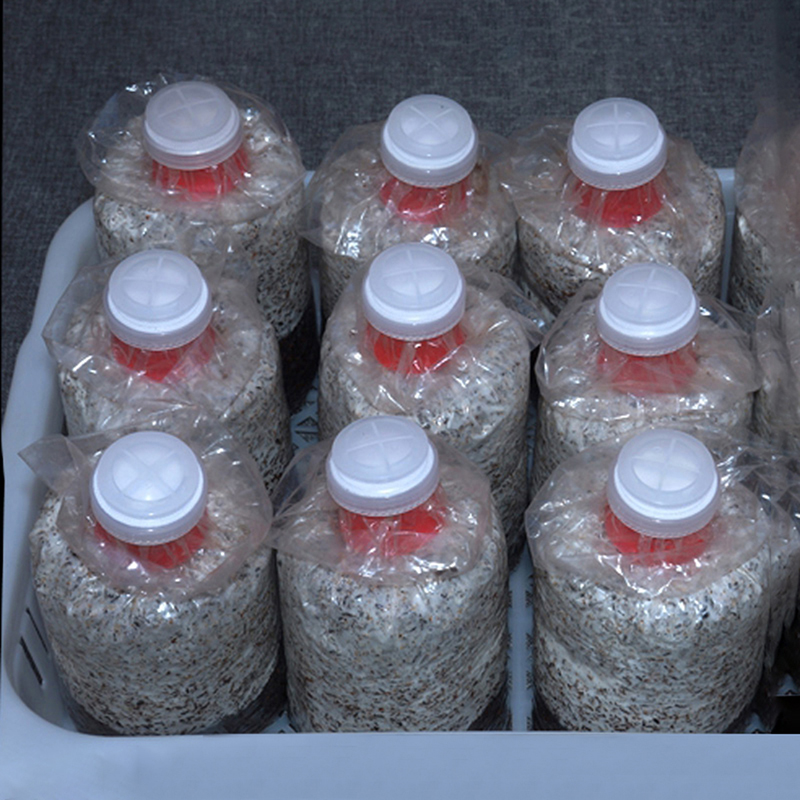 10 шт. Водонепроницаемые герме – обзор и цена Mushroom Spawn Bag