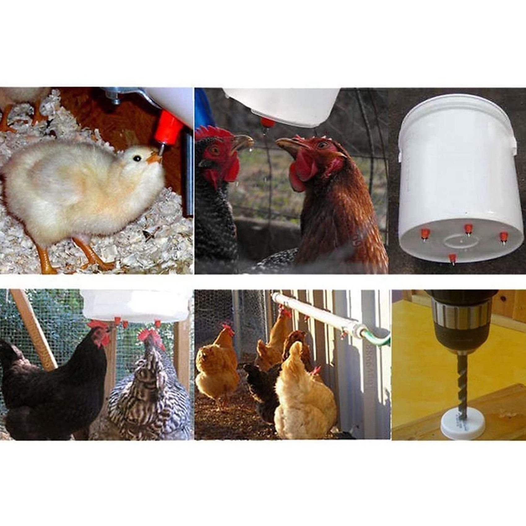 150 шт. Автоматические ниппель – обзор и цена Chicken Nipple Drinker