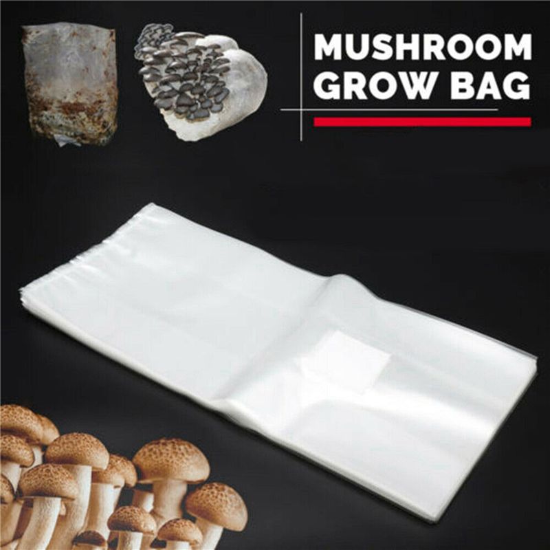 Пакеты для выращивания грибов  – обзор и цена Mushroom Spawn Bag