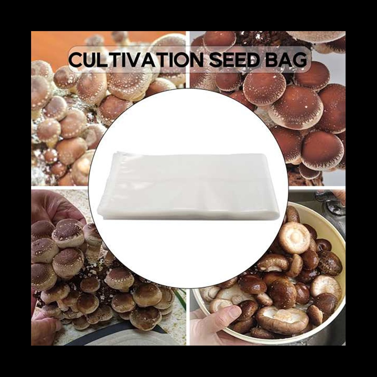 A78I 50 мешков для грибов/мешк – обзор и цена Mushroom Spawn Bag